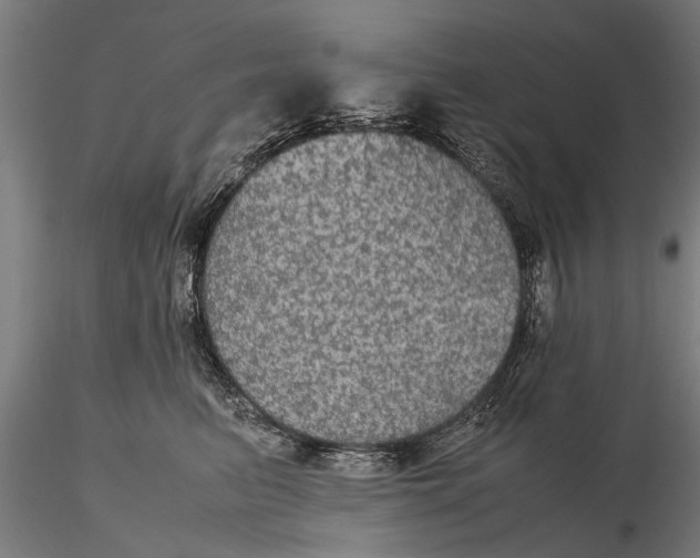 X0000116120615200912141047