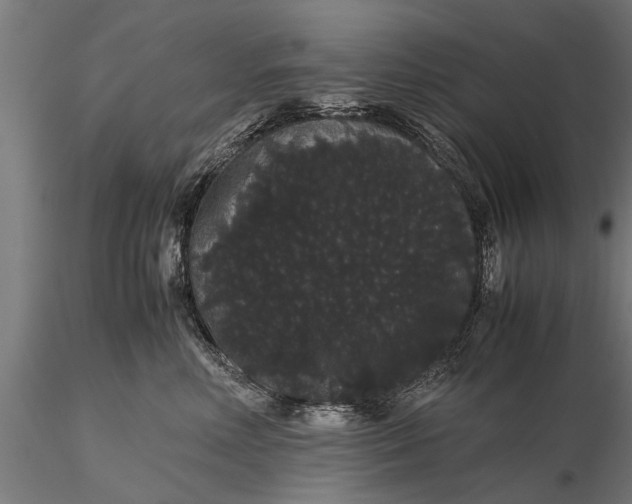 X0000116120618200912141047