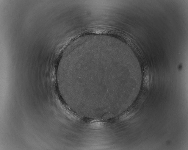 X0000116120620200912141047