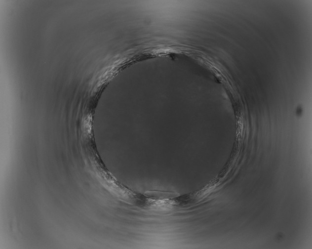 X0000116120621200912141047