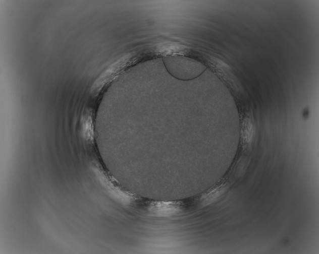 X0000116120622200912141047