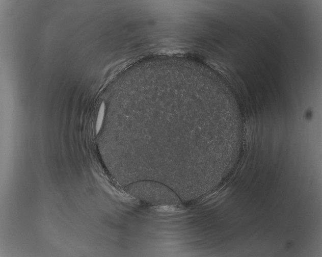 X0000116120623200912141047