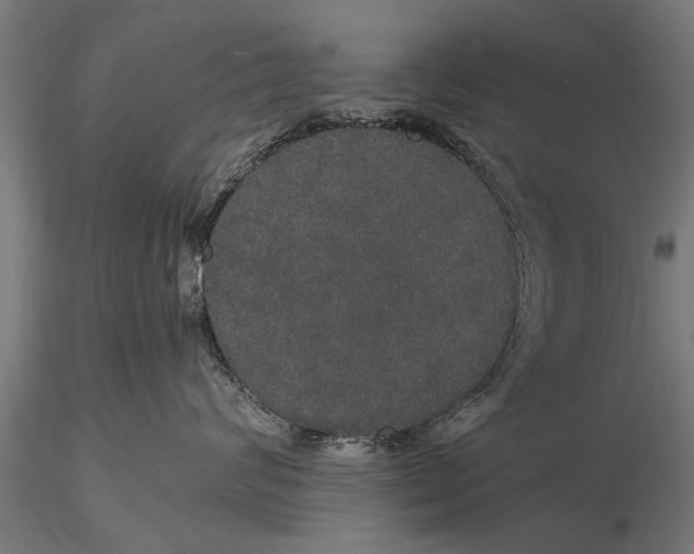 X0000116120624200912141047