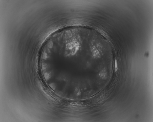 X0000116120627200912141046