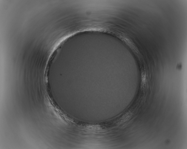 X0000116120628200912141046