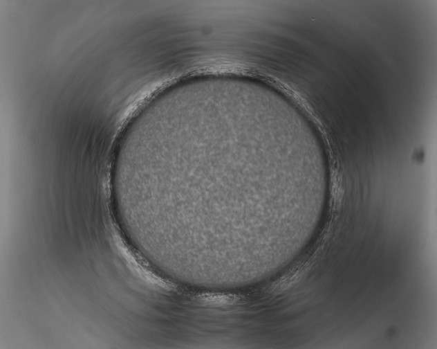 X0000116120629200912141046