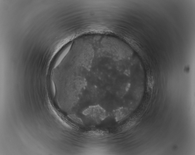 X0000116120630200912141046