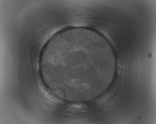 X0000116120631200912141046