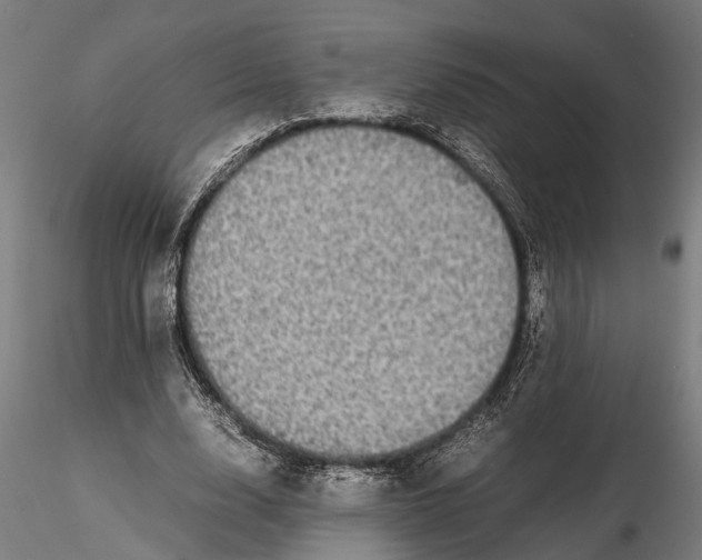 X0000116120632200912141046