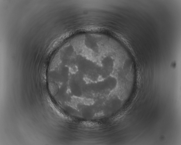 X0000116120633200912141046