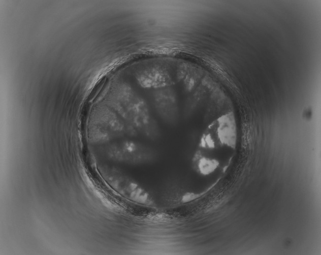 X0000116120634200912141046