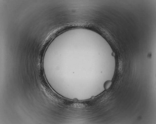 X0000116120636200912141046