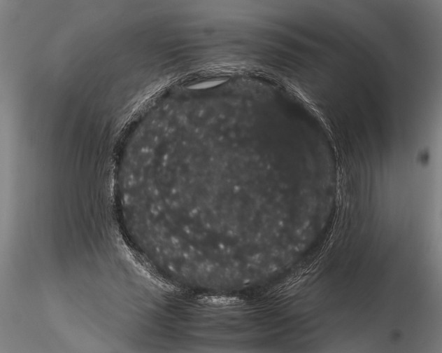 X0000116120637200912141046