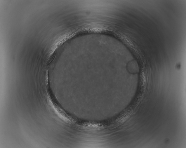 X0000116120638200912141046