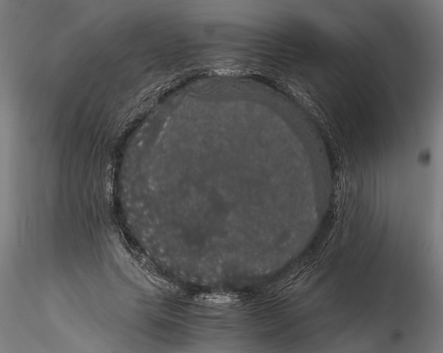 X0000116120639200912141046