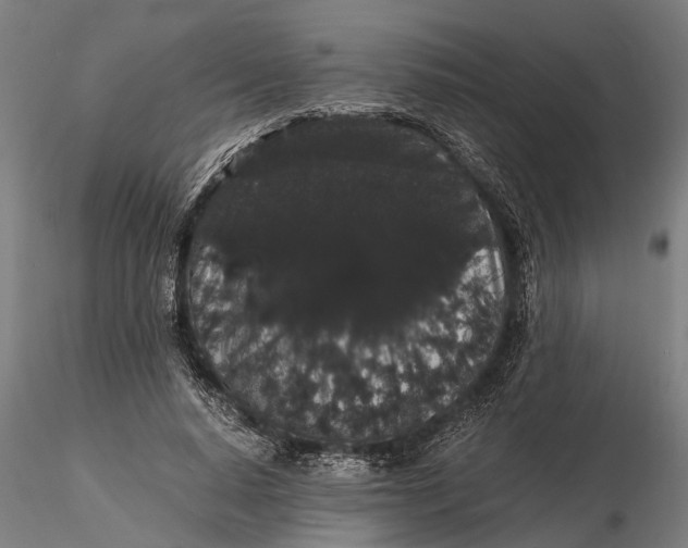 X0000116120640200912141046