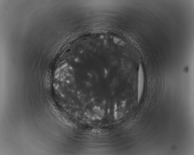 X0000116120641200912141046