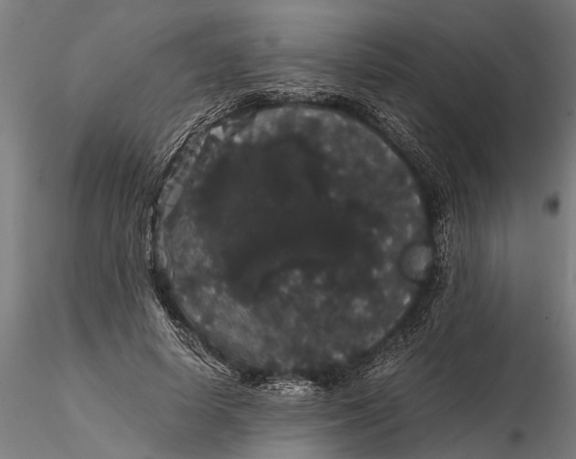 X0000116120642200912141046