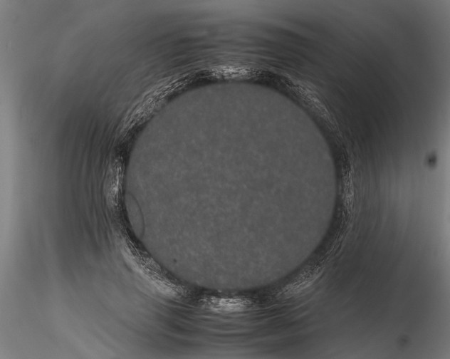 X0000116120645200912141046