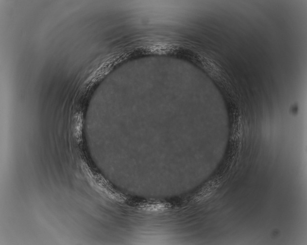 X0000116120646200912141046