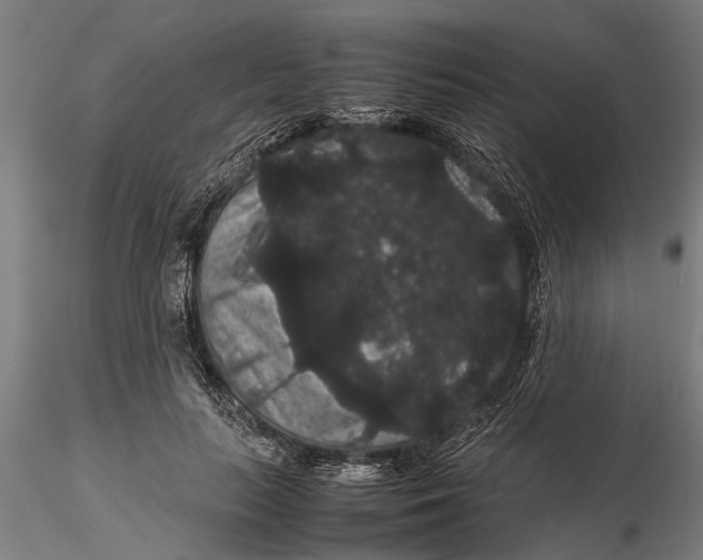 X0000116120647200912141046