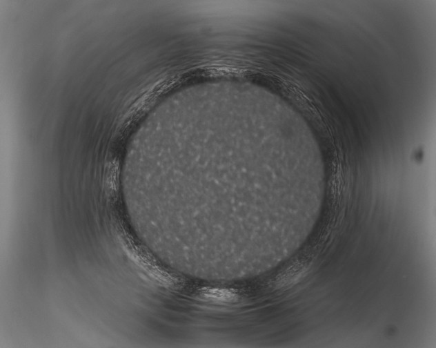 X0000116120649200912141046