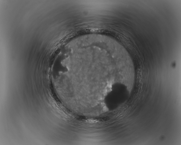 X0000116120650200912141046