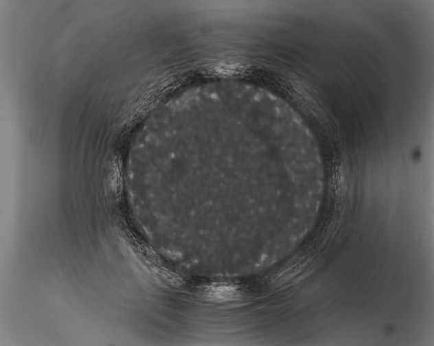 X0000116120651200912141046