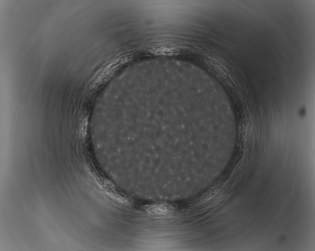 X0000116120652200912141046