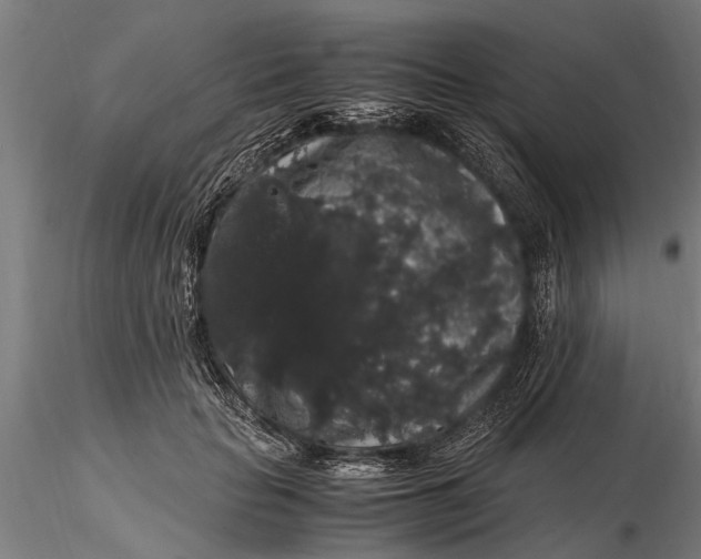 X0000116120653200912141046