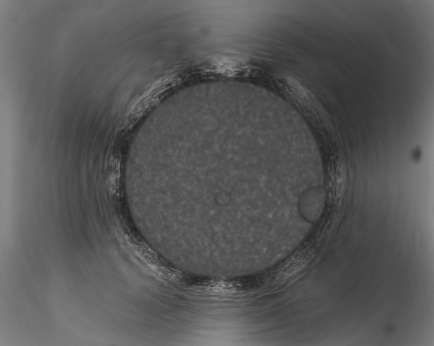 X0000116120656200912141046