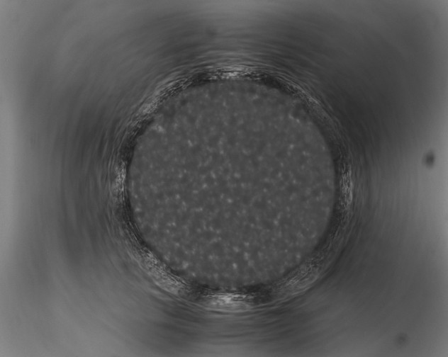 X0000116120657200912141046