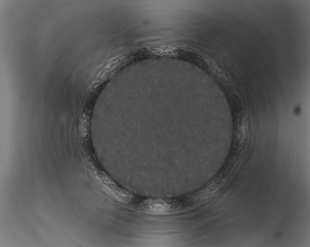 X0000116120658200912141046