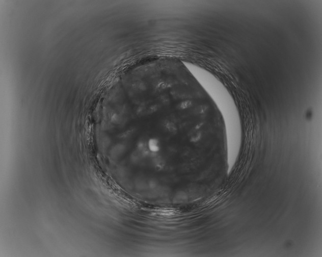 X0000116120659200912141046