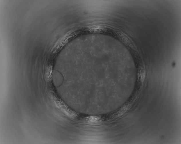 X0000116120660200912141046