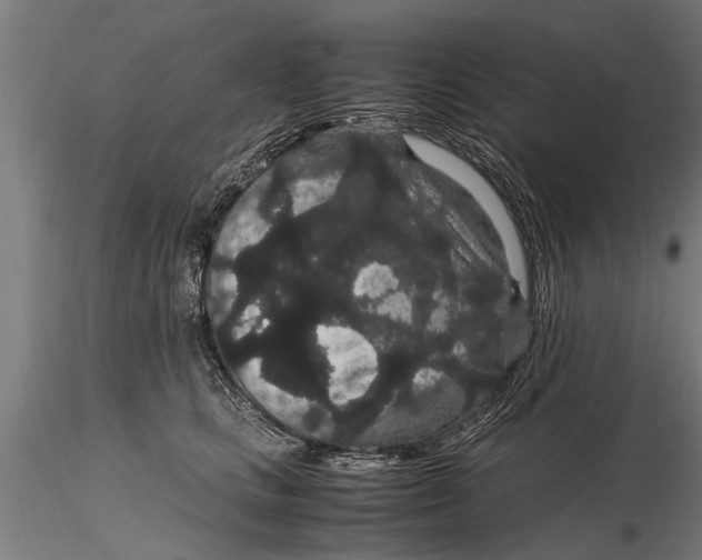 X0000116120661200912141046