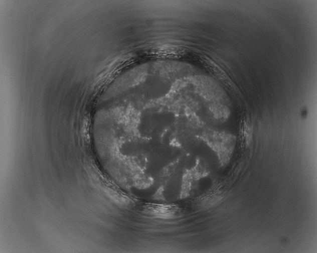 X0000116120663200912141046