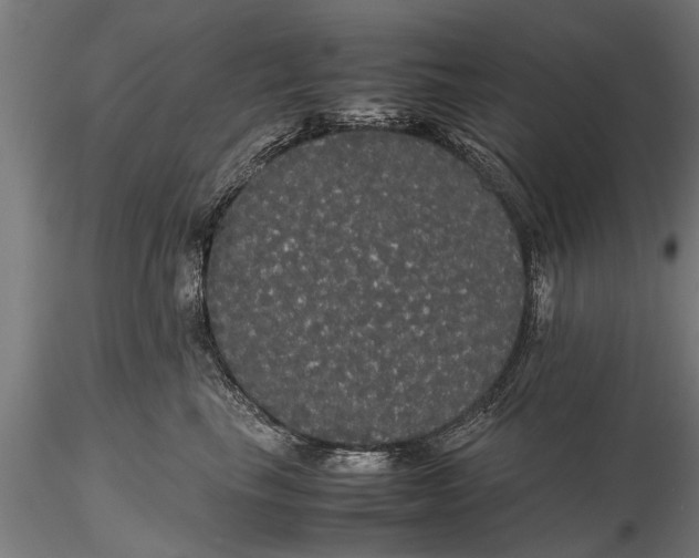 X0000116120665200912141047