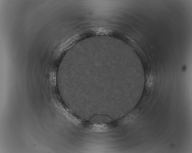 X0000116120666200912141047