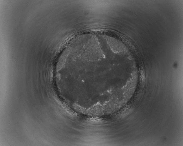 X0000116120668200912141047