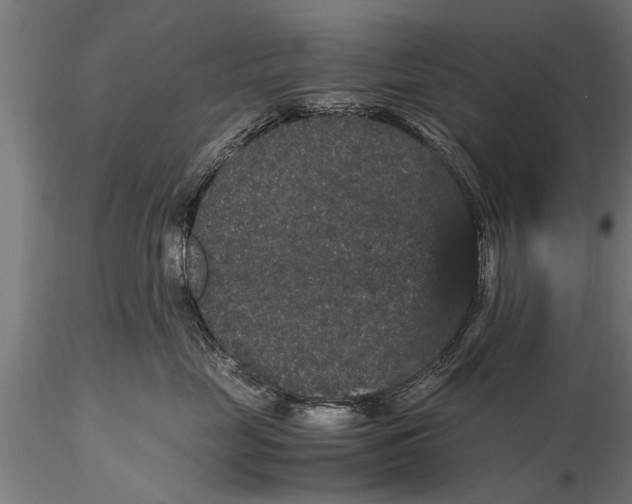 X0000116120669200912141047