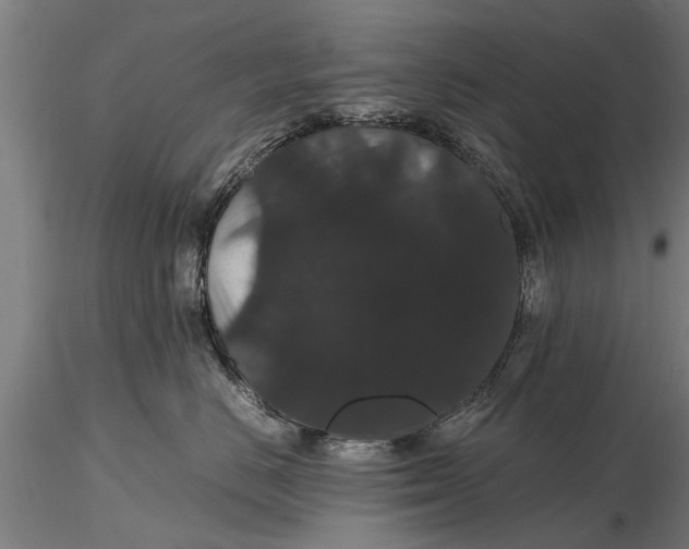 X0000116120670200912141047