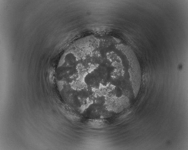 X0000116120671200912141047