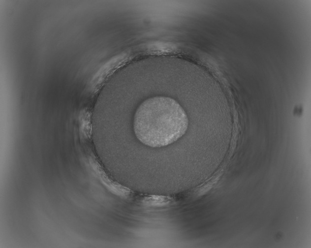 X0000116120672200912141047