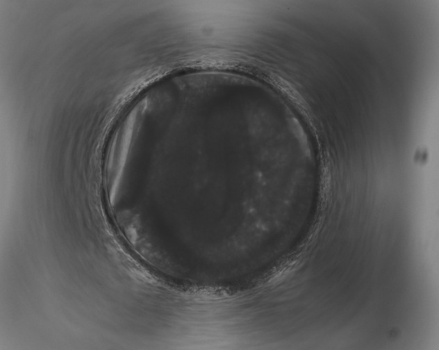 X0000116120673200912141046