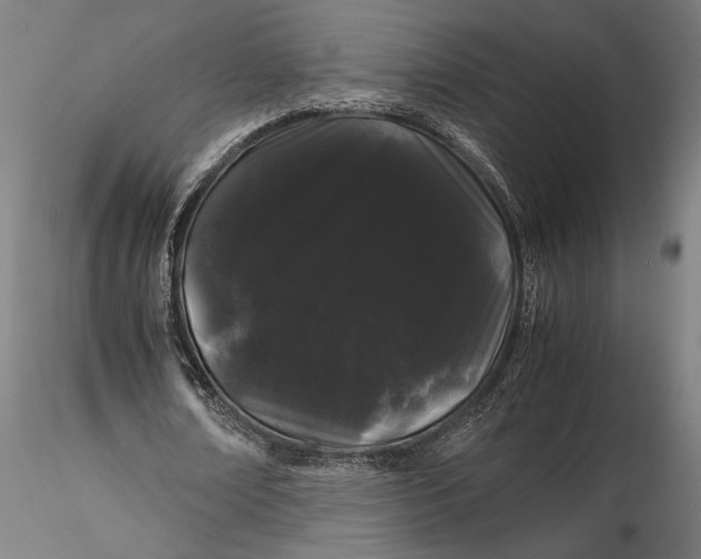 X0000116120674200912141046