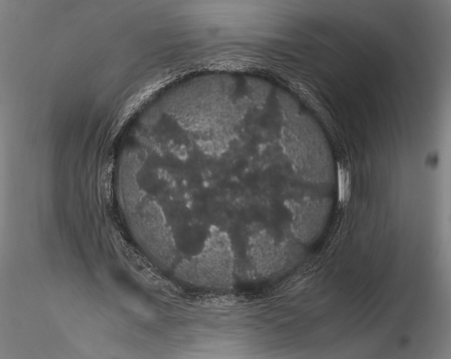 X0000116120675200912141046