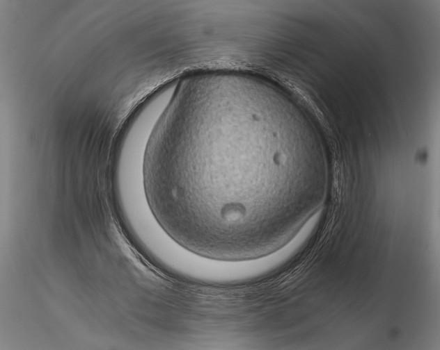 X0000116120677200912141046