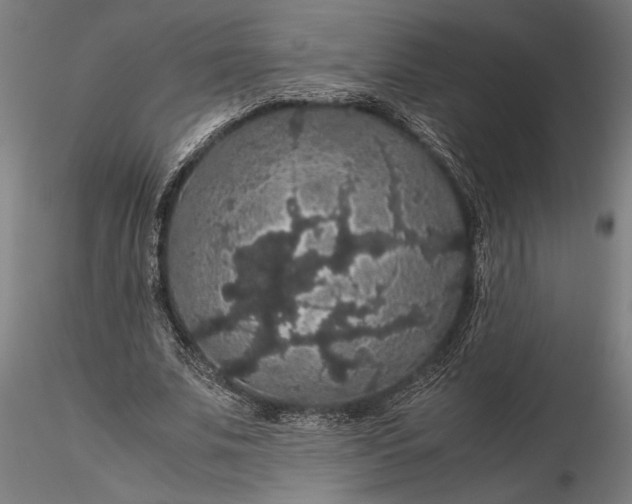 X0000116120679200912141046