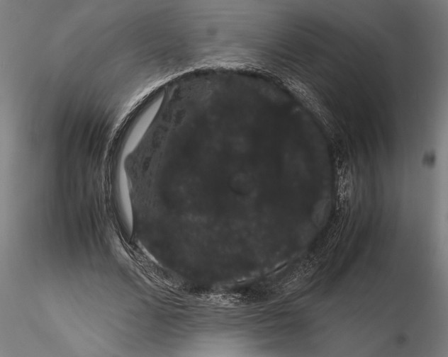 X0000116120680200912141046